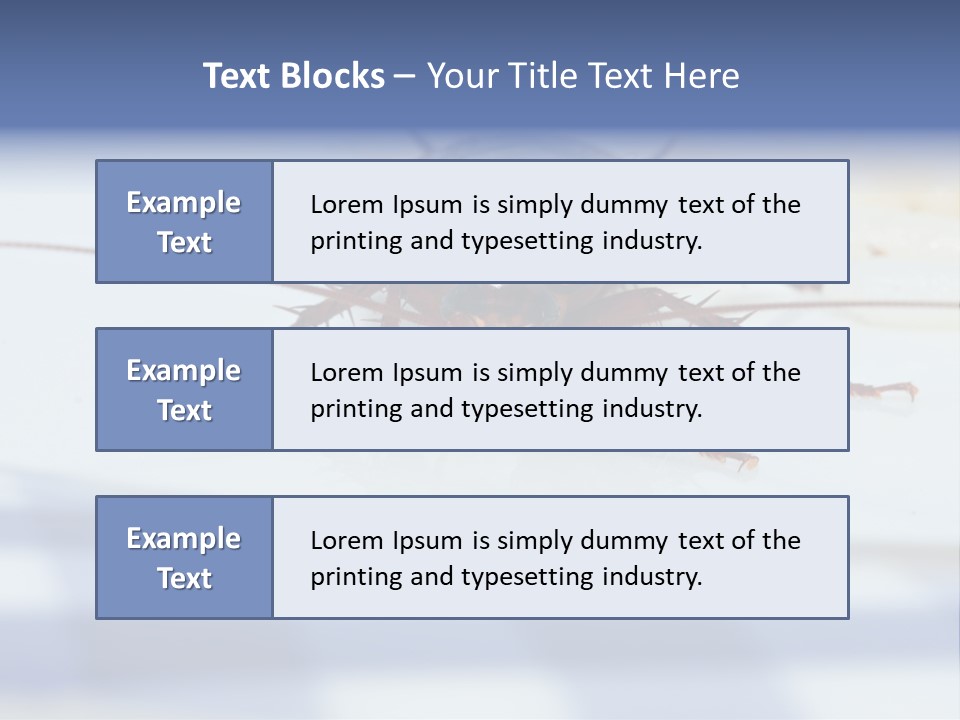 Frontal View Extreme Macro Of Cockroach Feeding On Grain Of Rice PowerPoint Template