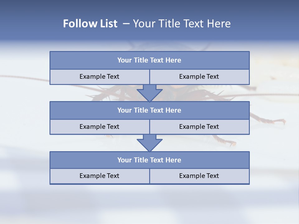 Frontal View Extreme Macro Of Cockroach Feeding On Grain Of Rice PowerPoint Template