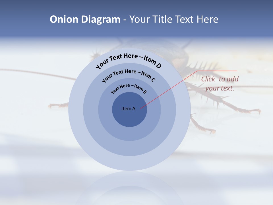 Frontal View Extreme Macro Of Cockroach Feeding On Grain Of Rice PowerPoint Template