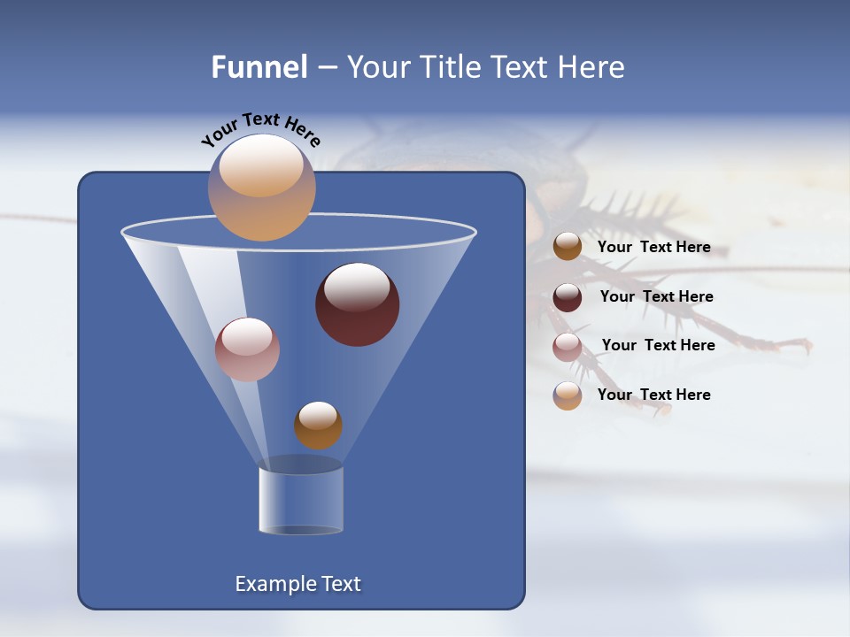 Frontal View Extreme Macro Of Cockroach Feeding On Grain Of Rice PowerPoint Template