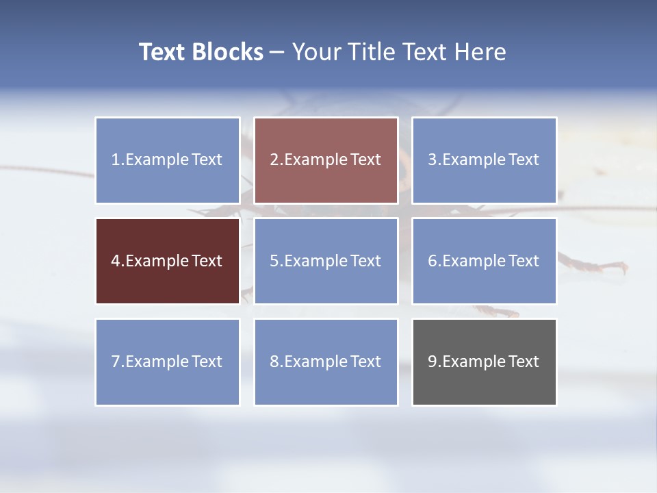 Frontal View Extreme Macro Of Cockroach Feeding On Grain Of Rice PowerPoint Template