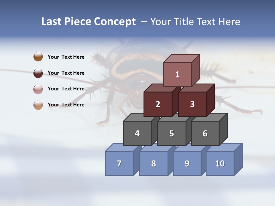 Frontal View Extreme Macro Of Cockroach Feeding On Grain Of Rice PowerPoint Template