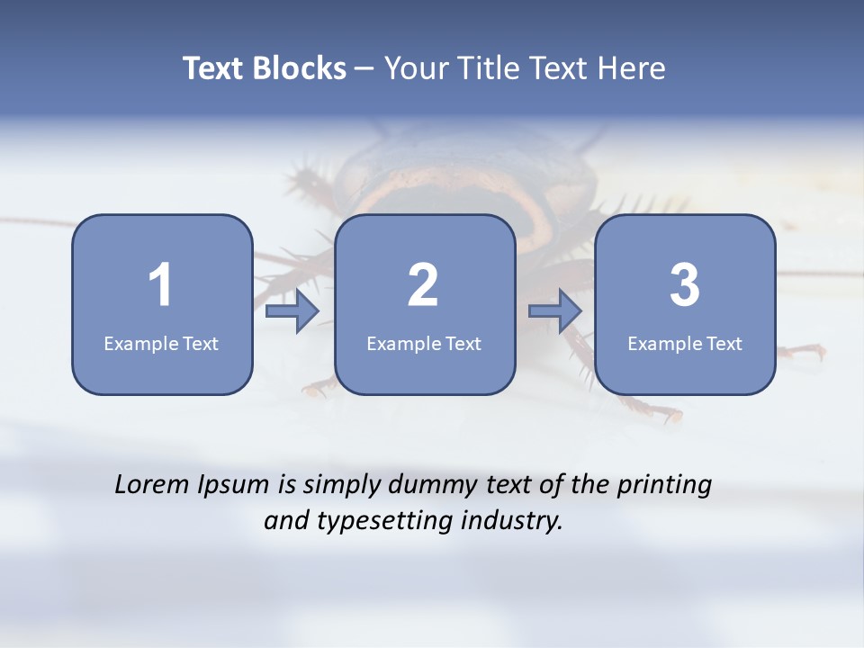 Frontal View Extreme Macro Of Cockroach Feeding On Grain Of Rice PowerPoint Template