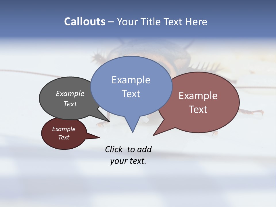 Frontal View Extreme Macro Of Cockroach Feeding On Grain Of Rice PowerPoint Template
