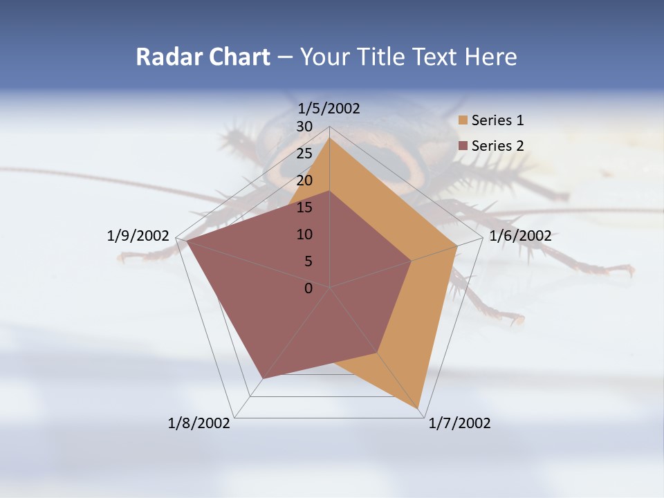Frontal View Extreme Macro Of Cockroach Feeding On Grain Of Rice PowerPoint Template