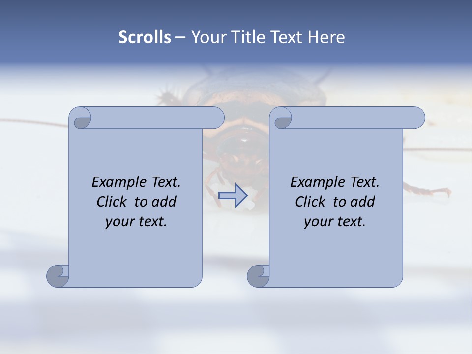 Frontal View Extreme Macro Of Cockroach Feeding On Grain Of Rice PowerPoint Template