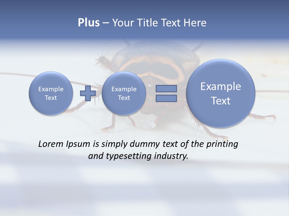 Frontal View Extreme Macro Of Cockroach Feeding On Grain Of Rice PowerPoint Template