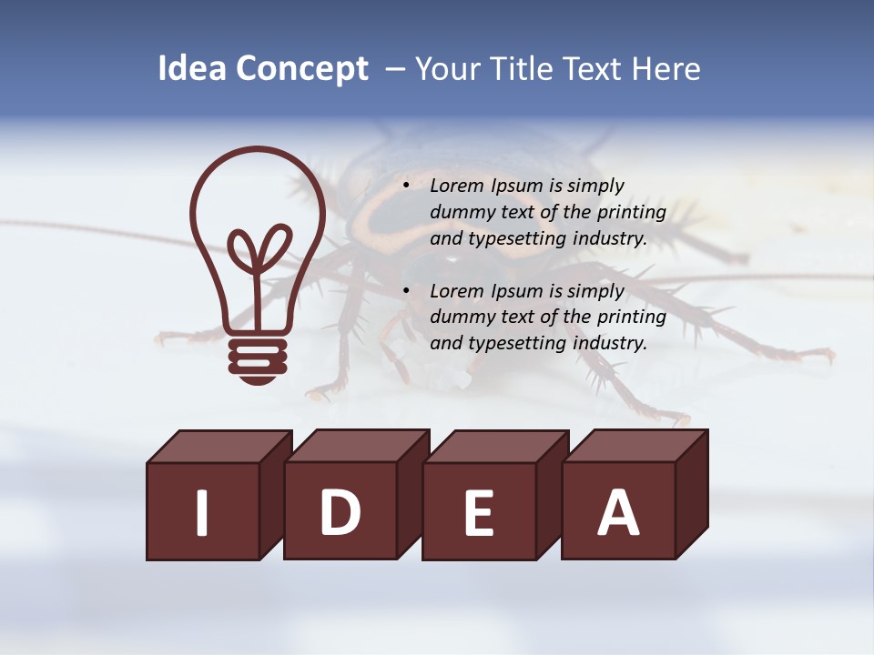 Frontal View Extreme Macro Of Cockroach Feeding On Grain Of Rice PowerPoint Template