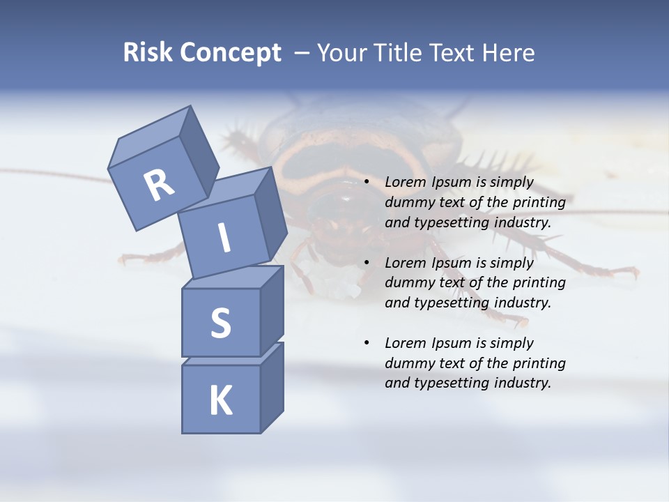 Frontal View Extreme Macro Of Cockroach Feeding On Grain Of Rice PowerPoint Template