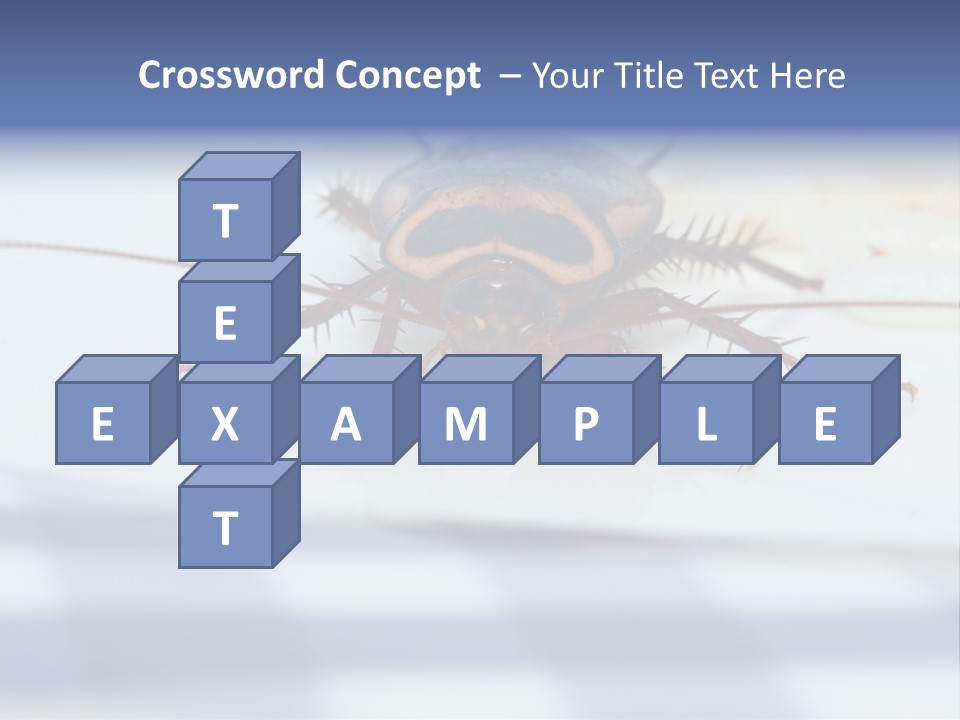 Frontal View Extreme Macro Of Cockroach Feeding On Grain Of Rice PowerPoint Template