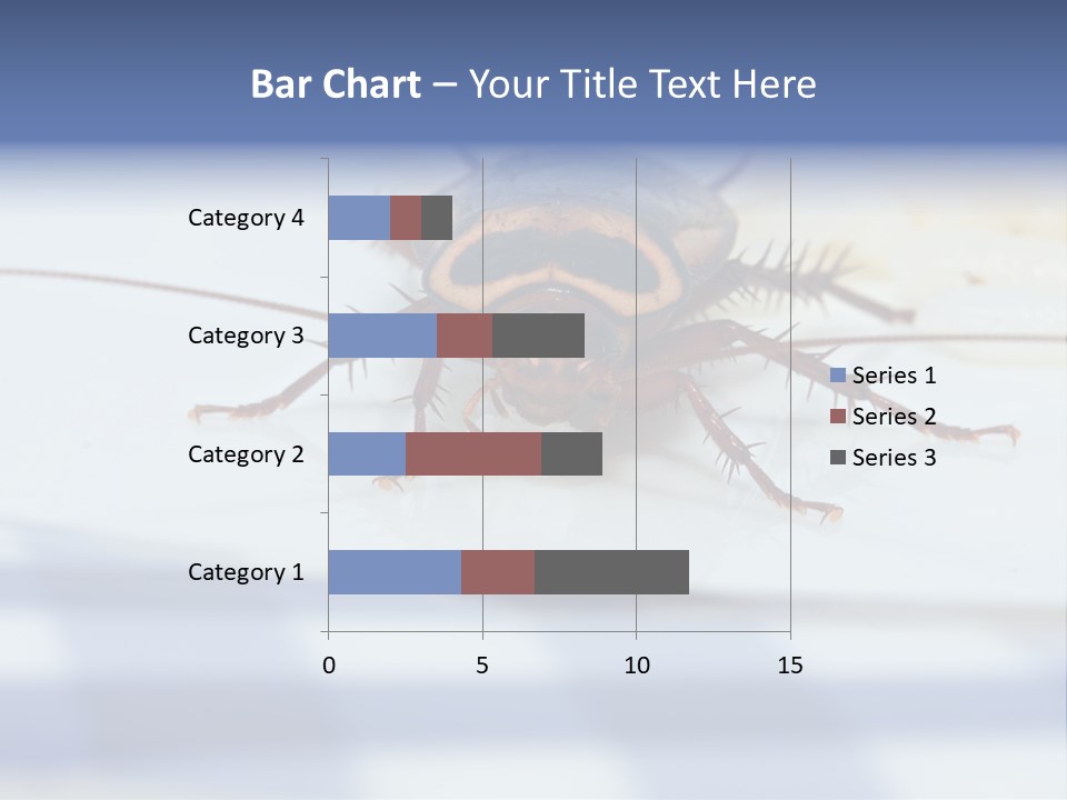 Frontal View Extreme Macro Of Cockroach Feeding On Grain Of Rice PowerPoint Template