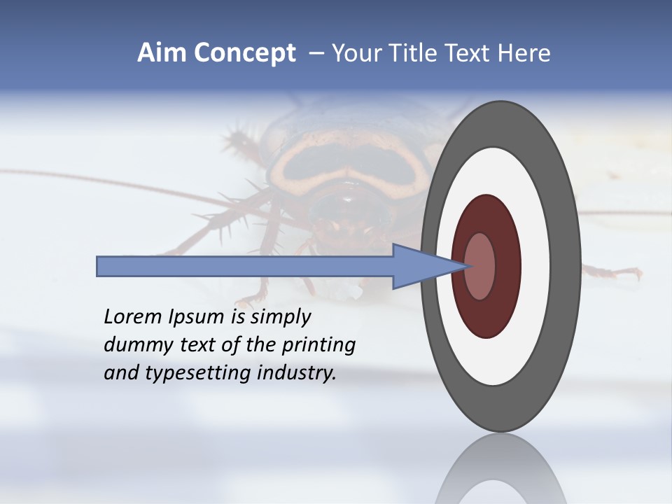 Frontal View Extreme Macro Of Cockroach Feeding On Grain Of Rice PowerPoint Template