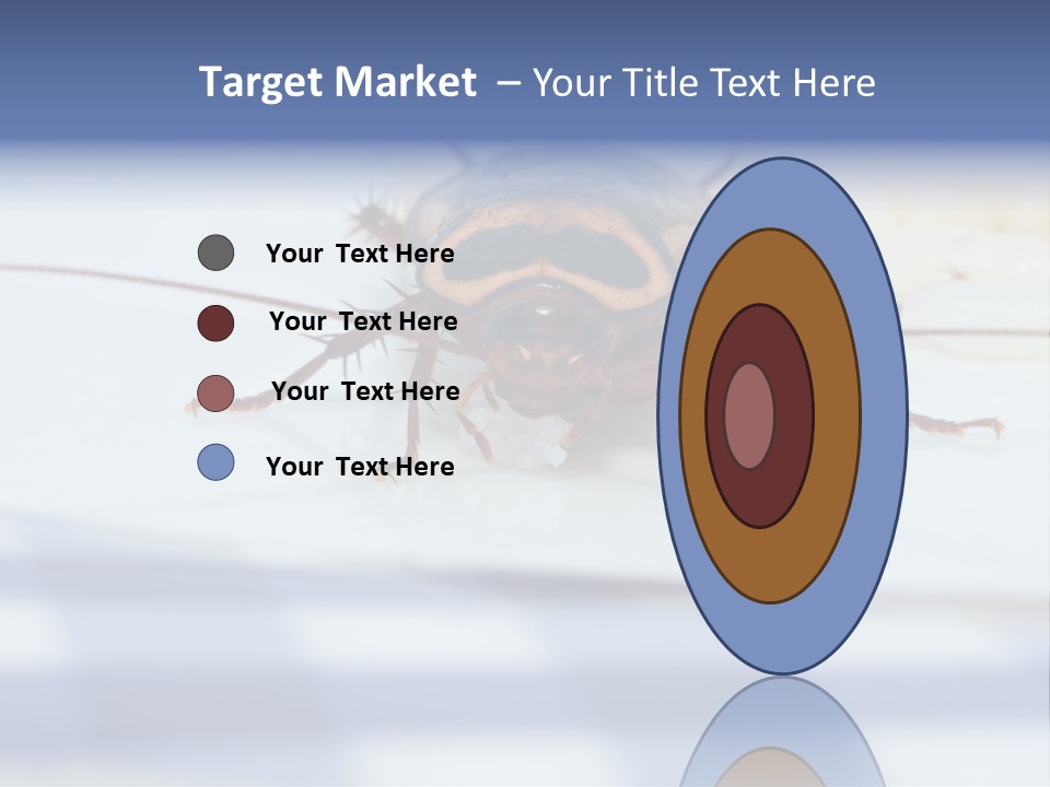 Frontal View Extreme Macro Of Cockroach Feeding On Grain Of Rice PowerPoint Template