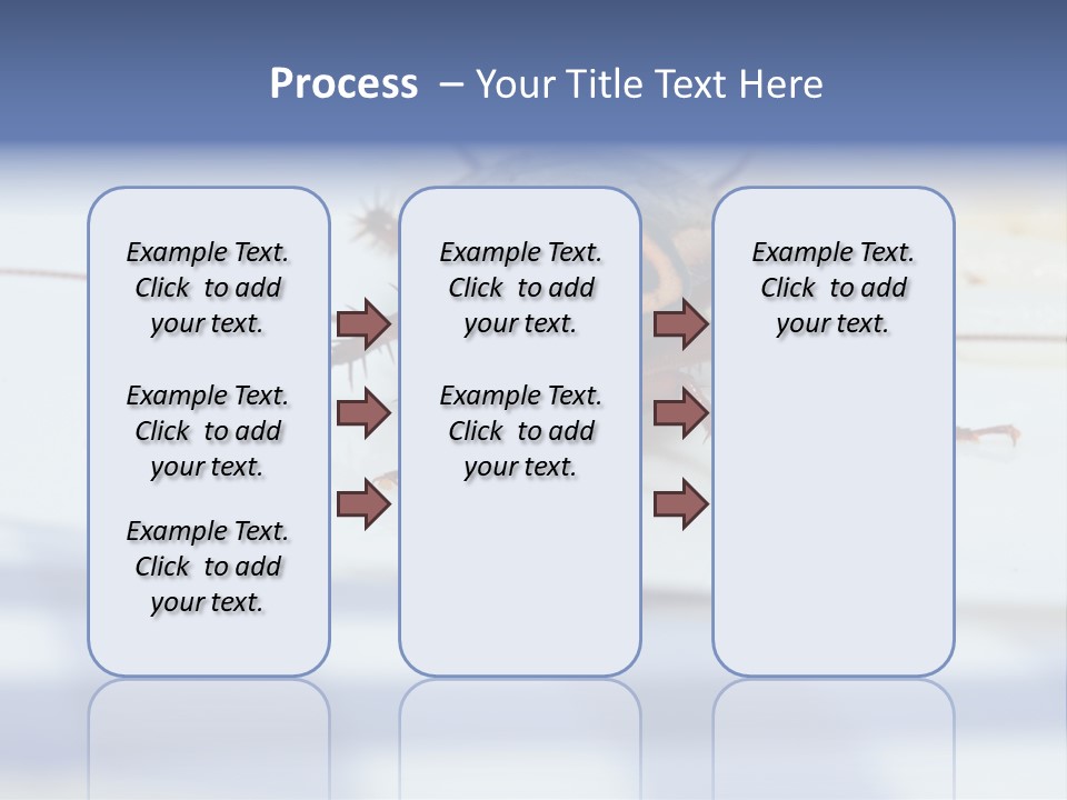 Frontal View Extreme Macro Of Cockroach Feeding On Grain Of Rice PowerPoint Template