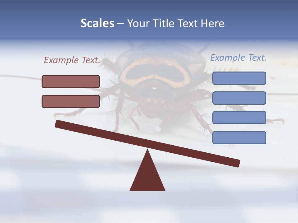Frontal View Extreme Macro Of Cockroach Feeding On Grain Of Rice PowerPoint Template