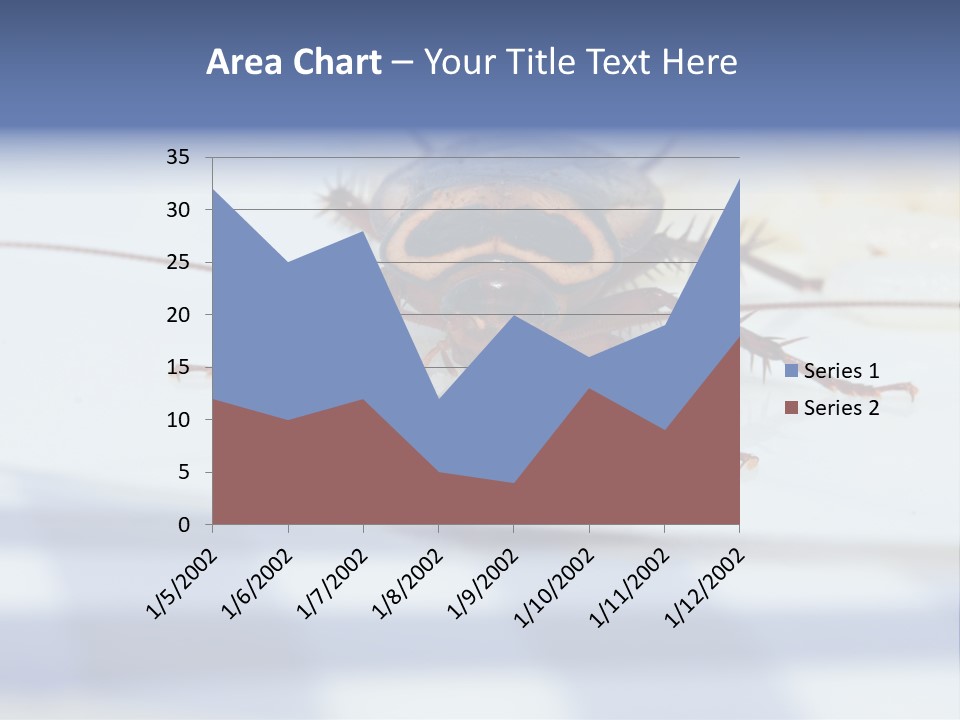 Frontal View Extreme Macro Of Cockroach Feeding On Grain Of Rice PowerPoint Template