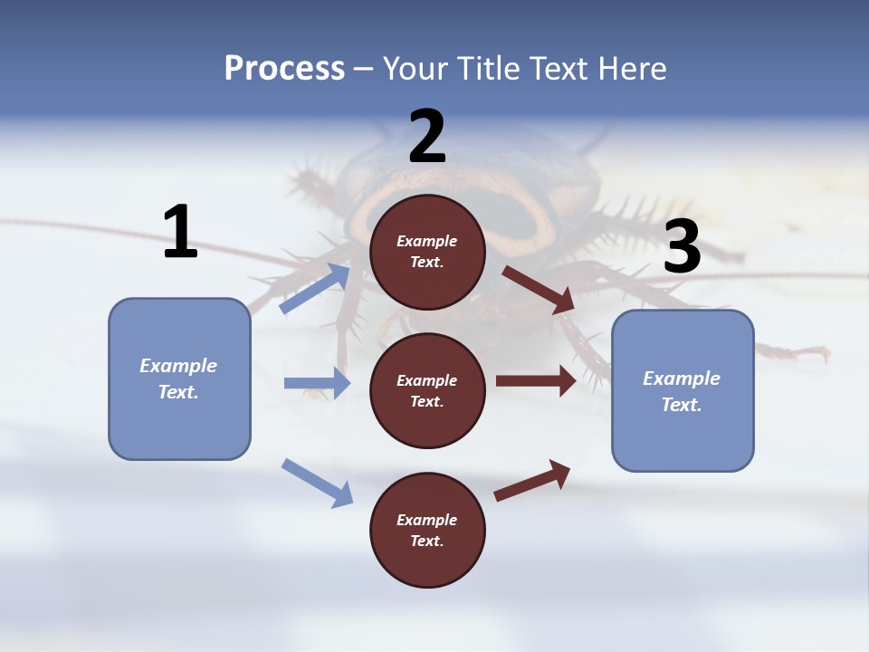 Frontal View Extreme Macro Of Cockroach Feeding On Grain Of Rice PowerPoint Template
