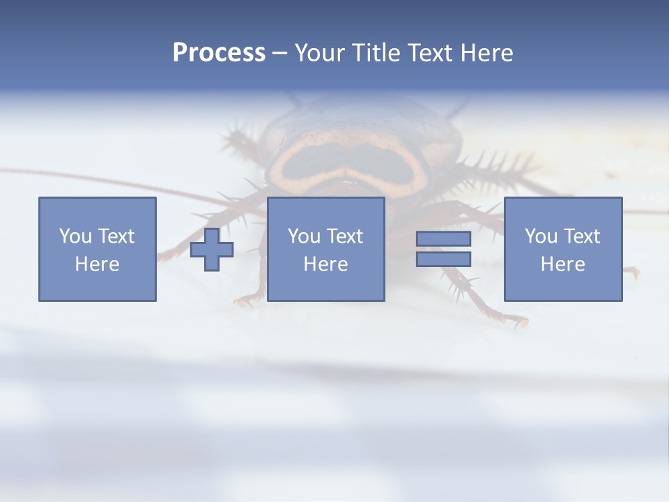 Frontal View Extreme Macro Of Cockroach Feeding On Grain Of Rice PowerPoint Template