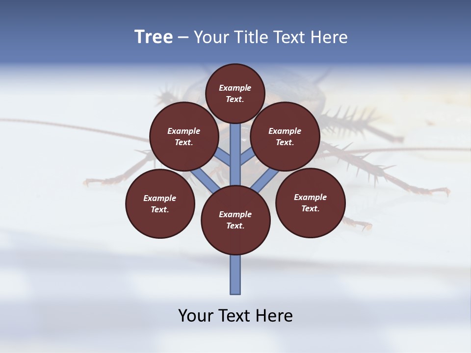 Frontal View Extreme Macro Of Cockroach Feeding On Grain Of Rice PowerPoint Template