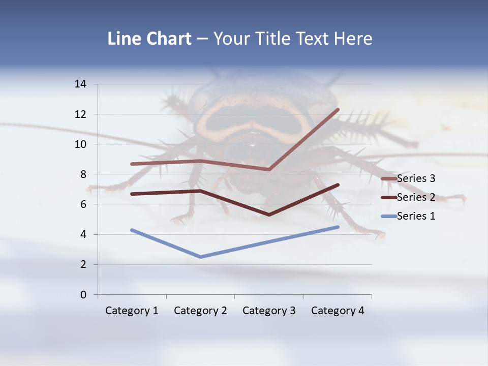 Frontal View Extreme Macro Of Cockroach Feeding On Grain Of Rice PowerPoint Template