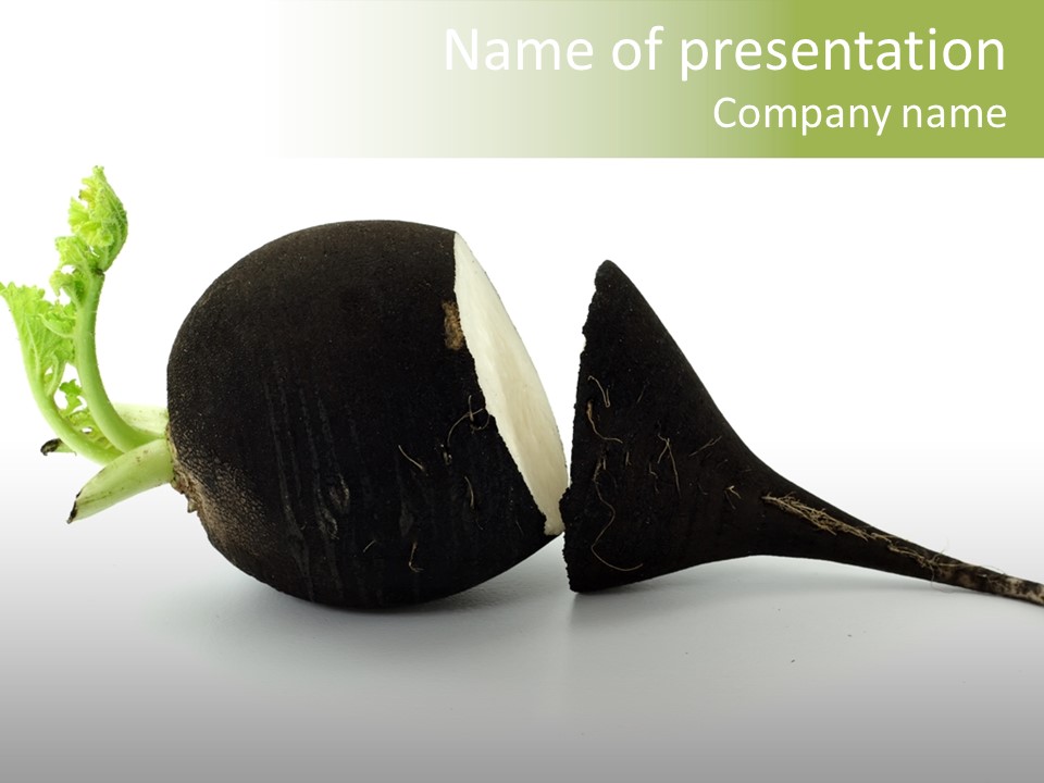 Radish (Raphanus) PowerPoint Template