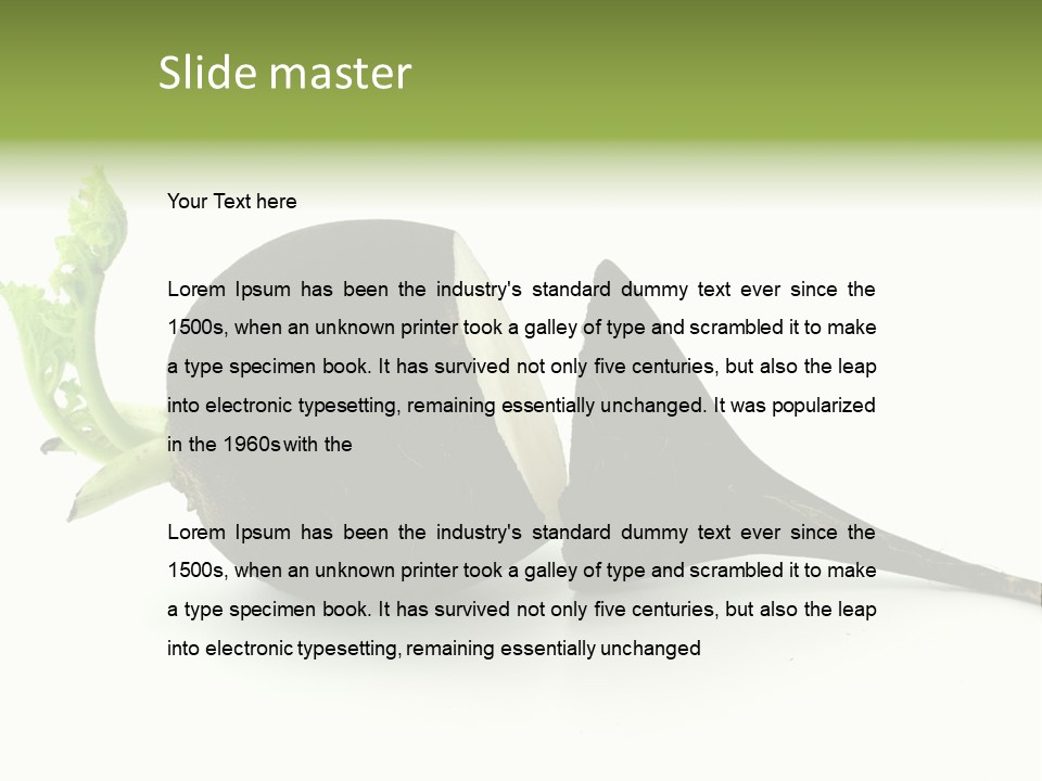 Radish (Raphanus) PowerPoint Template