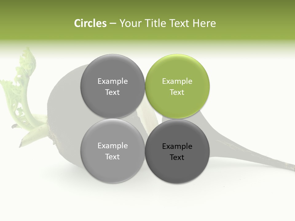 Radish (Raphanus) PowerPoint Template