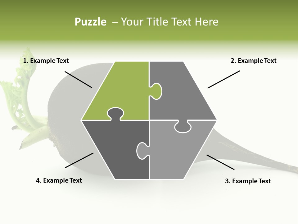 Radish (Raphanus) PowerPoint Template