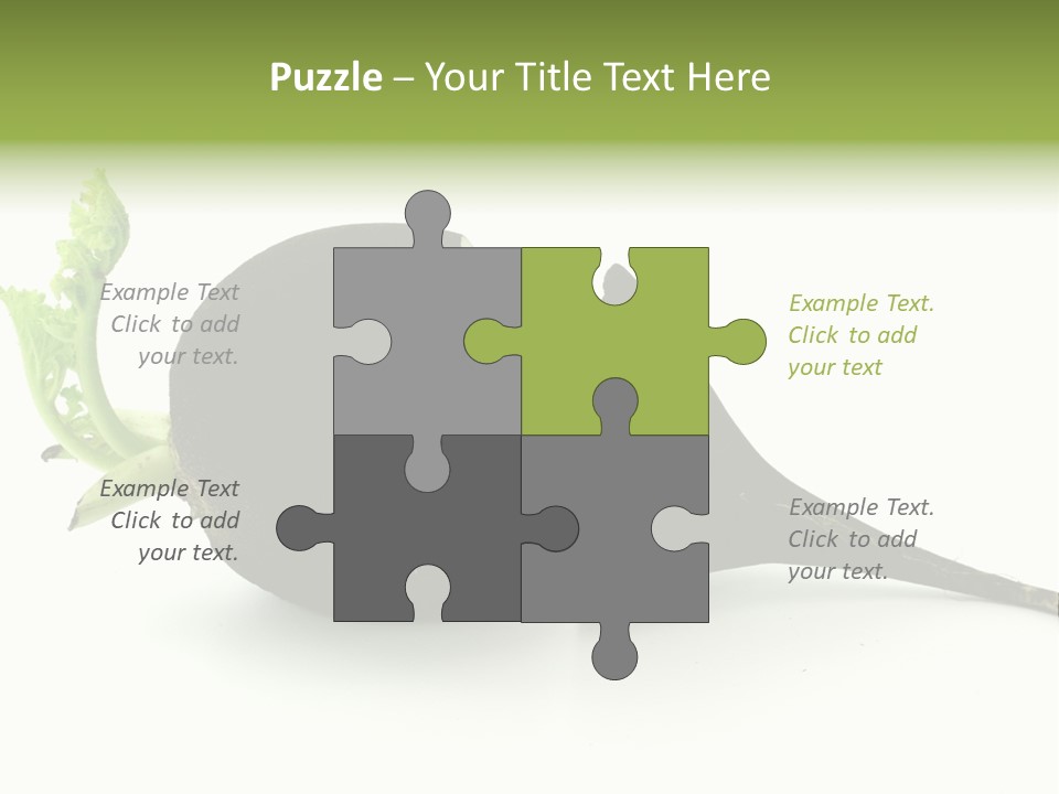 Radish (Raphanus) PowerPoint Template