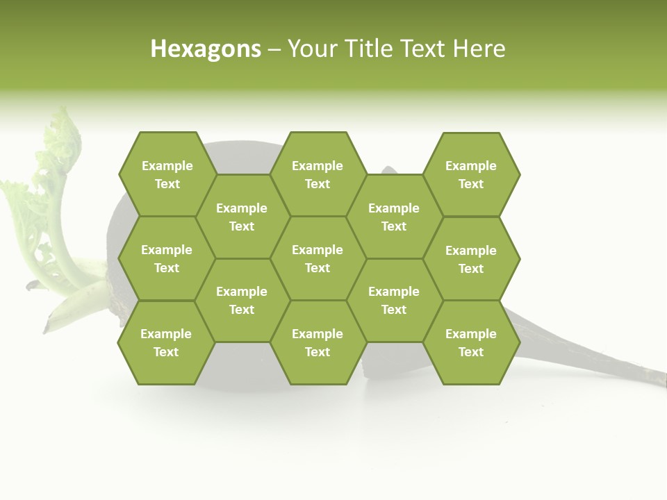 Radish (Raphanus) PowerPoint Template