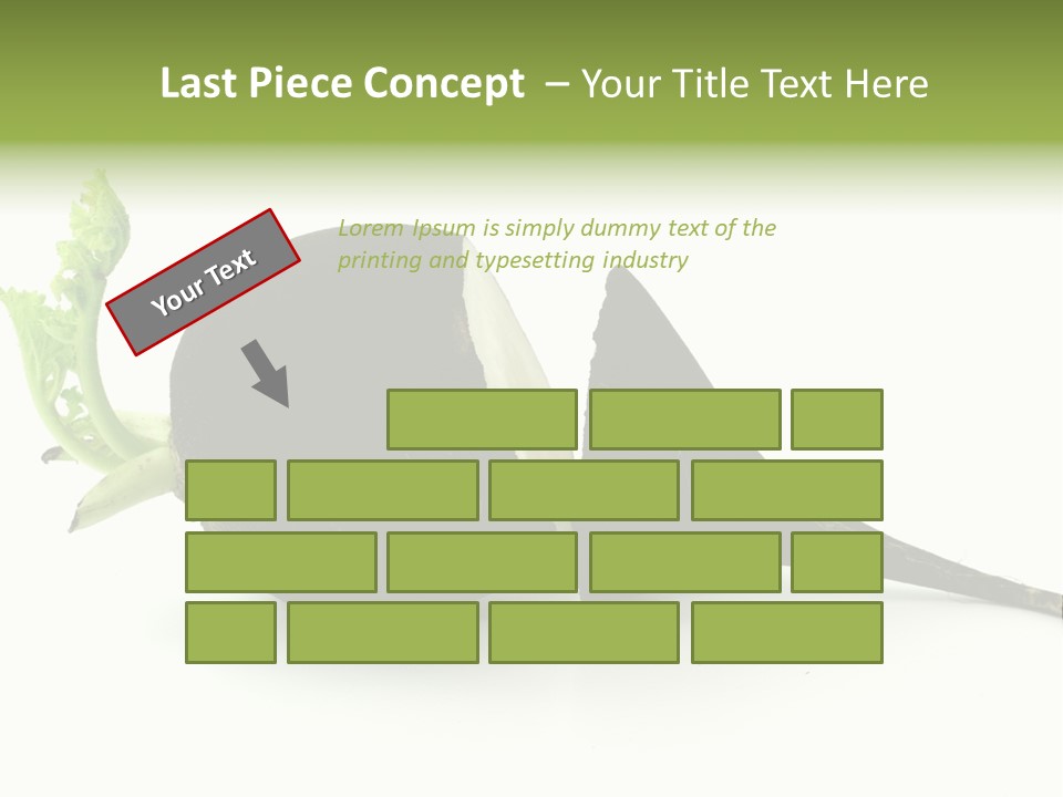 Radish (Raphanus) PowerPoint Template