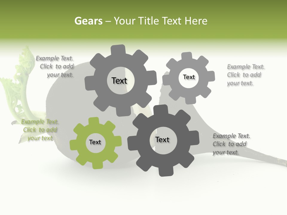 Radish (Raphanus) PowerPoint Template