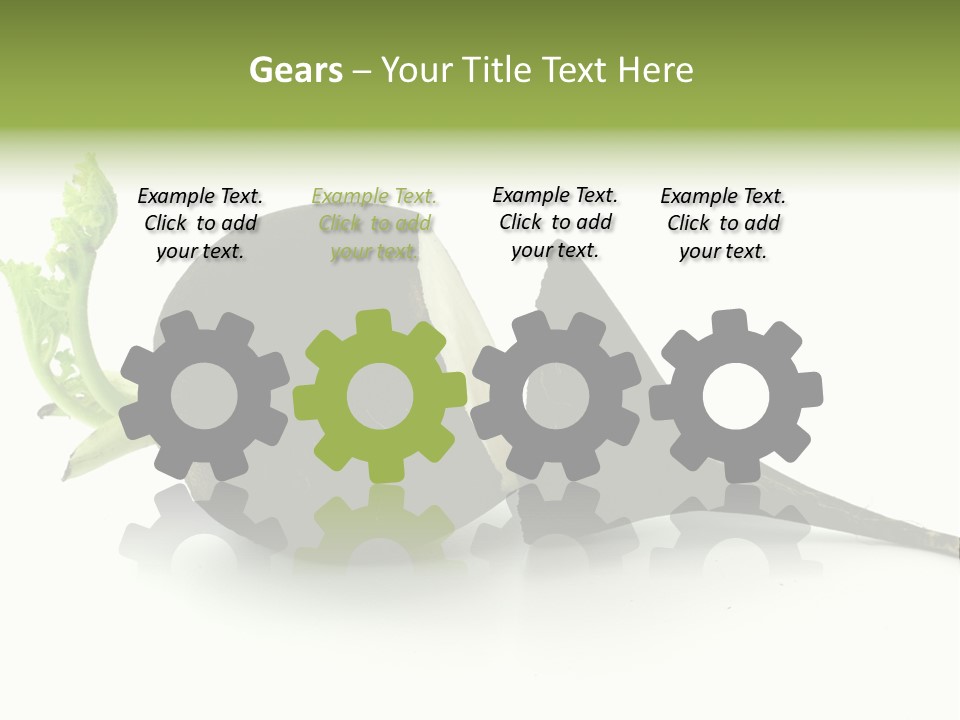 Radish (Raphanus) PowerPoint Template