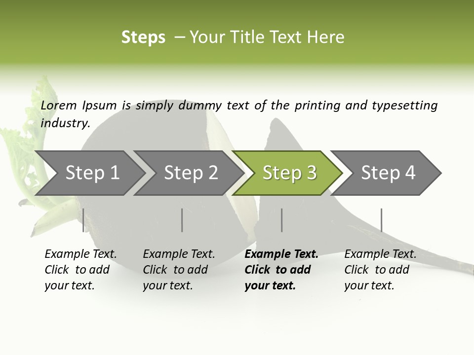 Radish (Raphanus) PowerPoint Template