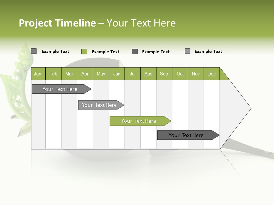 Radish (Raphanus) PowerPoint Template