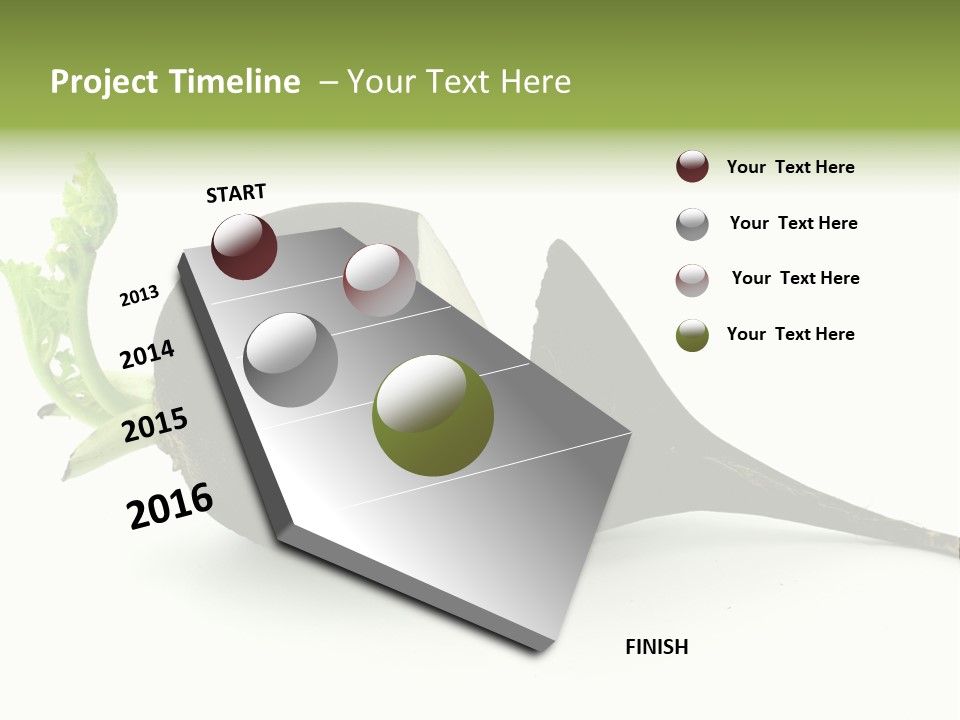 Radish (Raphanus) PowerPoint Template