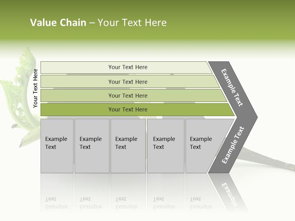 Radish (Raphanus) PowerPoint Template
