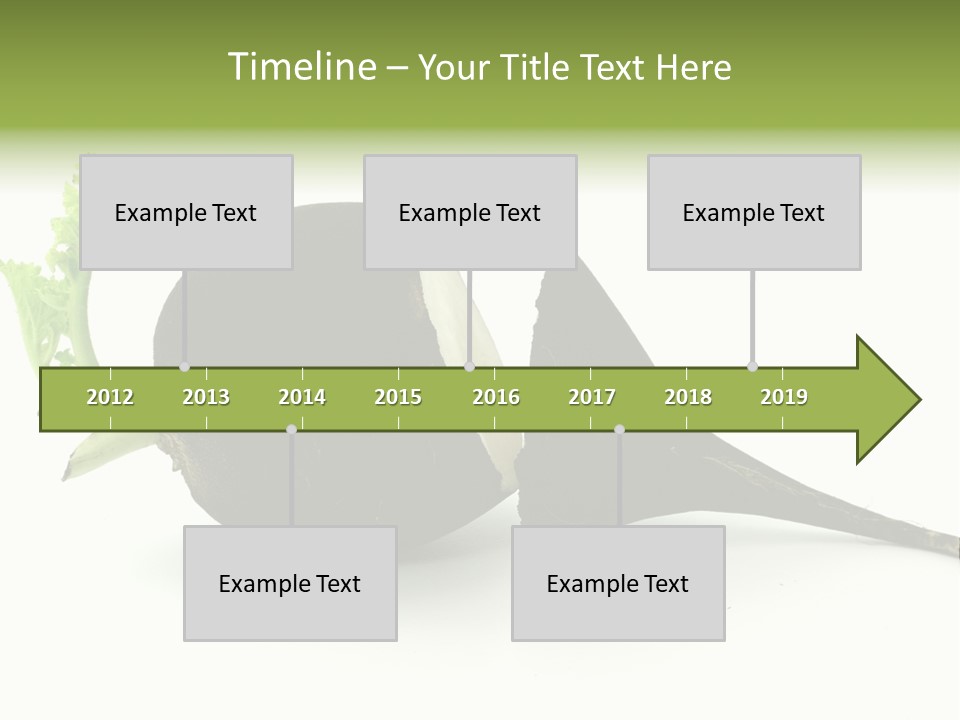 Radish (Raphanus) PowerPoint Template