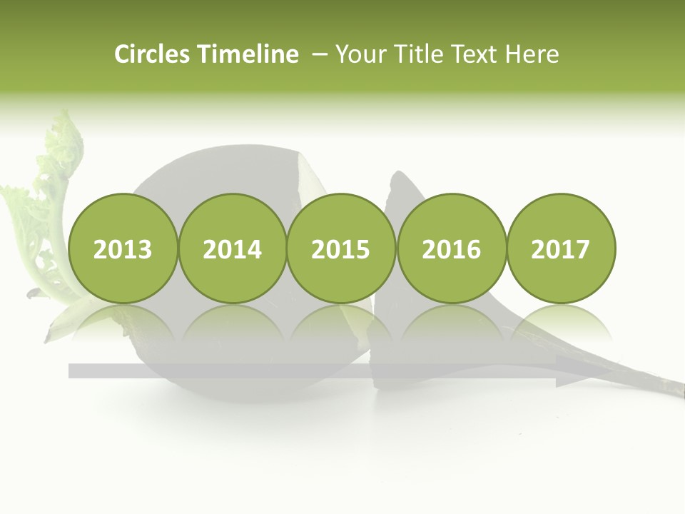 Radish (Raphanus) PowerPoint Template