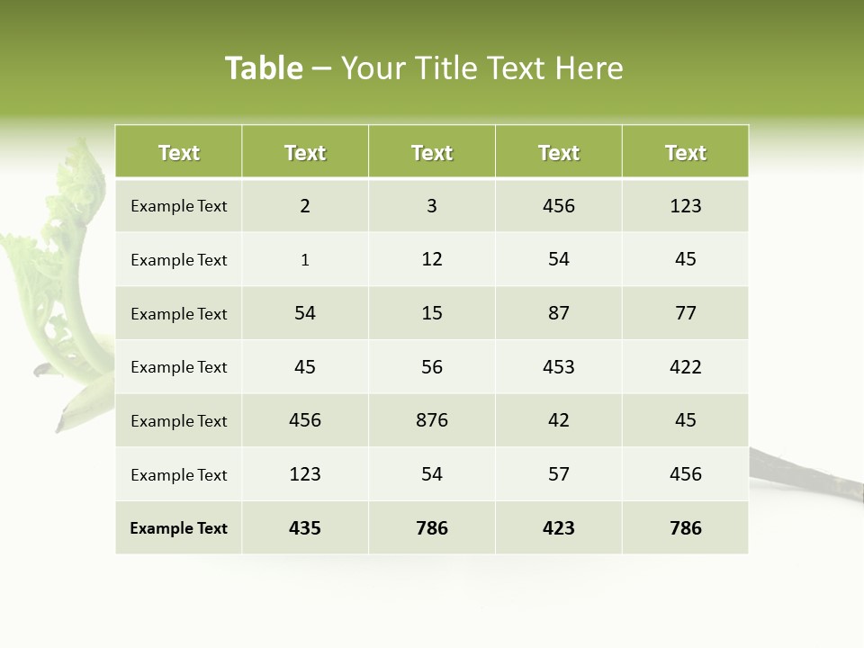 Radish (Raphanus) PowerPoint Template