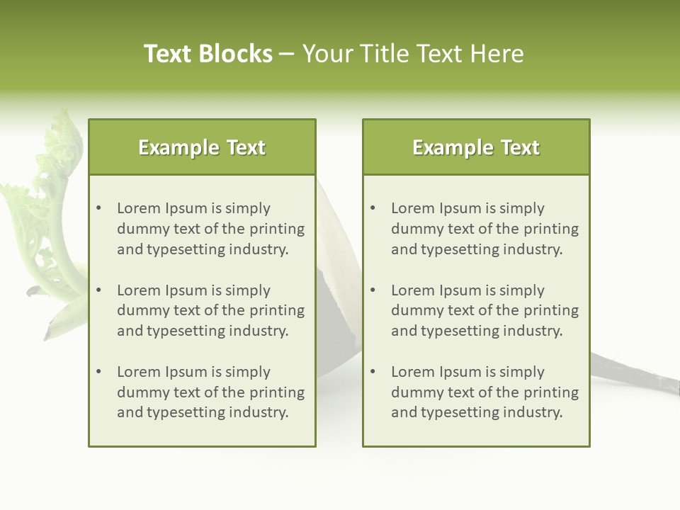 Radish (Raphanus) PowerPoint Template