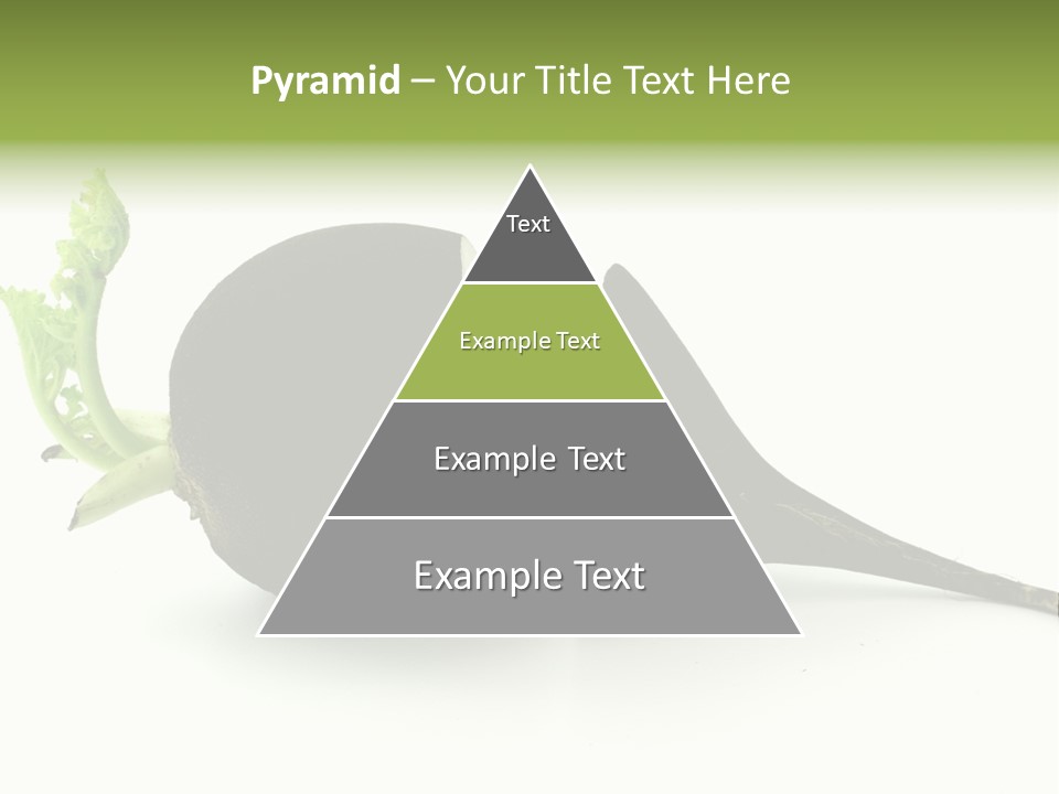 Radish (Raphanus) PowerPoint Template