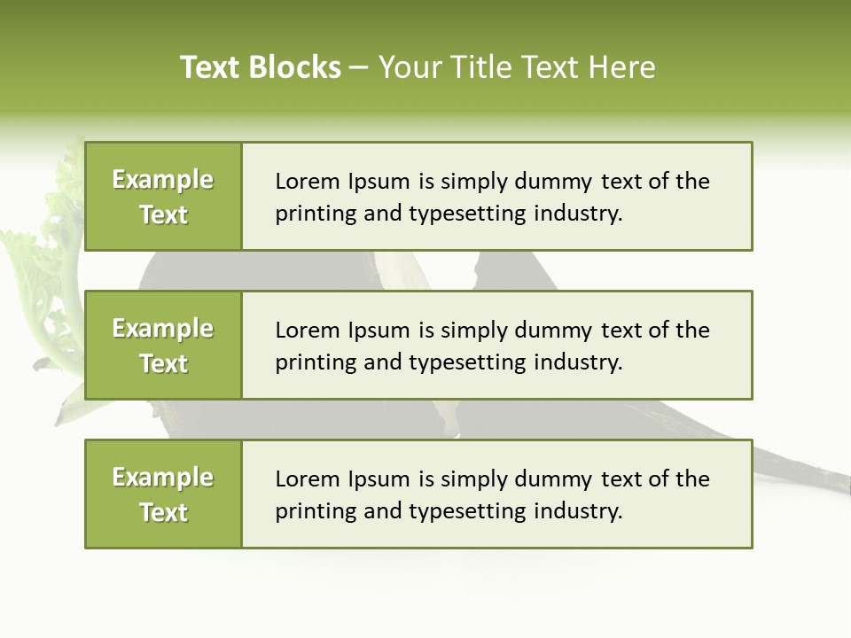 Radish (Raphanus) PowerPoint Template
