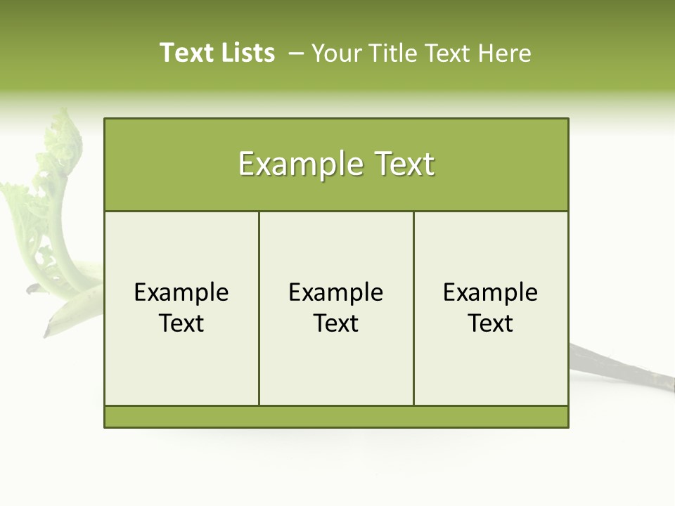 Radish (Raphanus) PowerPoint Template