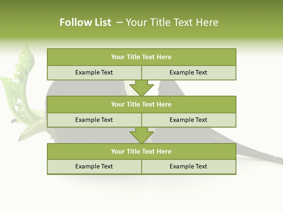 Radish (Raphanus) PowerPoint Template