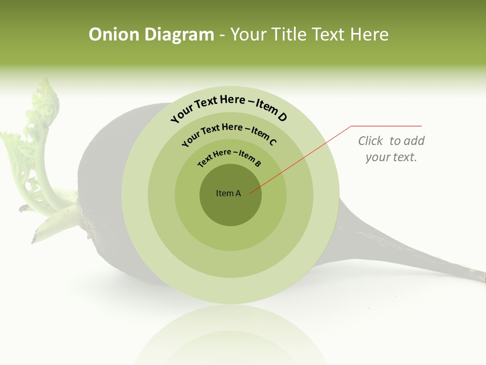 Radish (Raphanus) PowerPoint Template