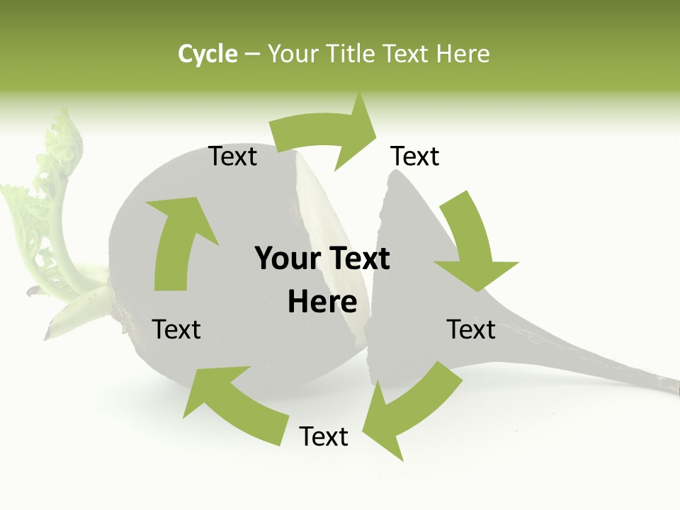 Radish (Raphanus) PowerPoint Template