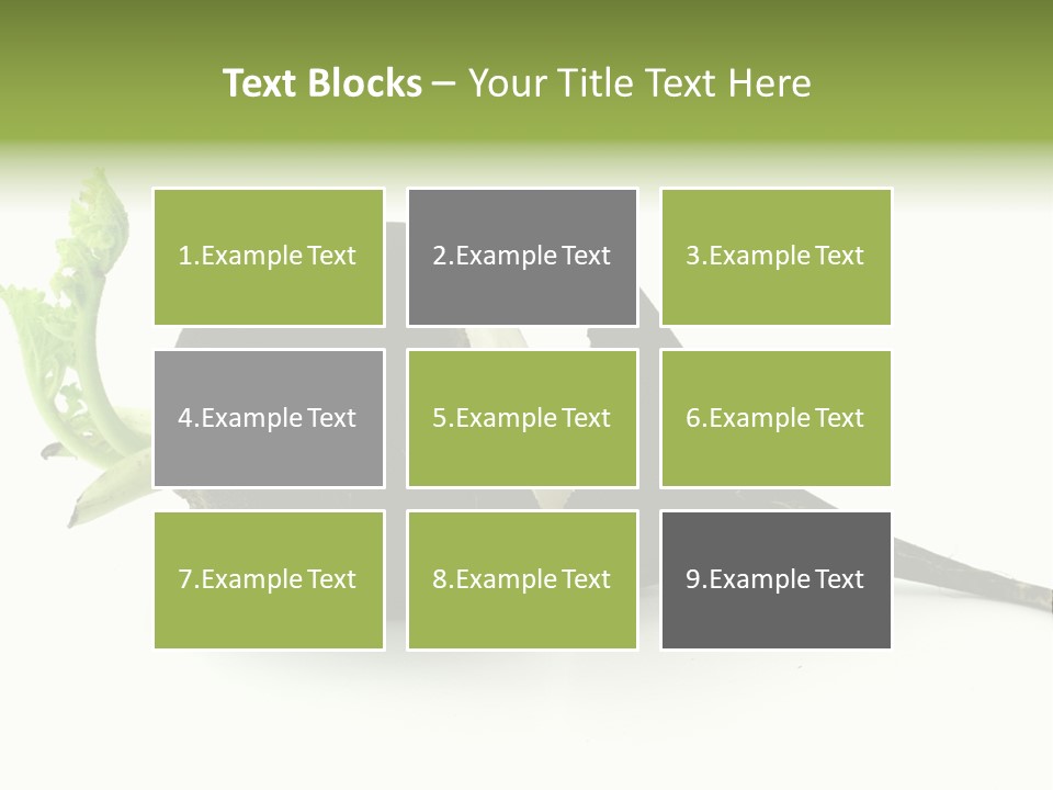 Radish (Raphanus) PowerPoint Template