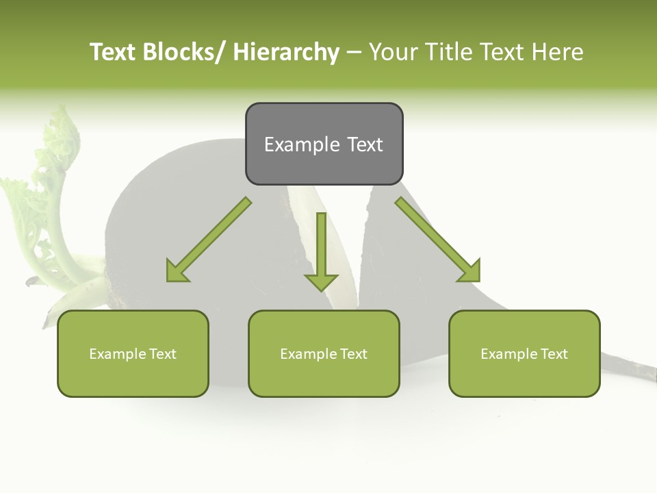 Radish (Raphanus) PowerPoint Template
