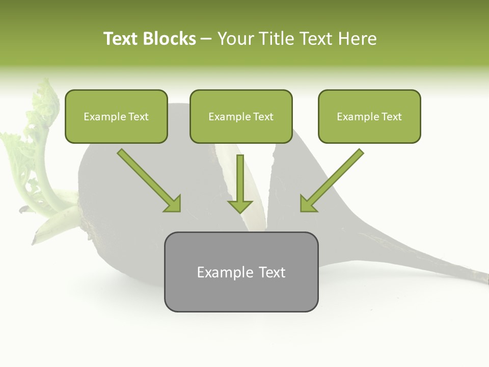 Radish (Raphanus) PowerPoint Template